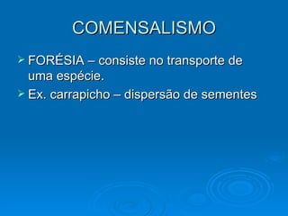 COMENSALISMO FORÉSIA – consiste no transporte de uma espécie. Ex. carrapicho – dispersão de sementes 