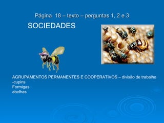 Página  18 – texto – perguntas 1, 2 e 3 SOCIEDADES AGRUPAMENTOS PERMANENTES E COOPERATIVOS – divisão de trabalho -cupins Formigas abelhas 