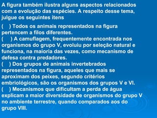 A figura também ilustra alguns aspectos relacionados com a evolução das espécies. A respeito desse tema, julgue os seguintes itens  (  ) Todos os animais representados na figura pertencem a filos diferentes.  (  ) A camuflagem, frequentemente encontrada nos organismos do grupo V, evoluiu por seleção natural e funciona, na maioria das vezes, como mecanismo de defesa contra predadores.  (  ) Dos grupos de animais invertebrados representados na figura, aqueles que mais se aproximam dos peixes, segundo critérios embriológicos, são os organismos dos grupos V e VI.  (  ) Mecanismos que dificultam a perda de água explicam a maior diversidade de organismos do grupo V no ambiente terrestre, quando comparados aos do grupo VIII. 