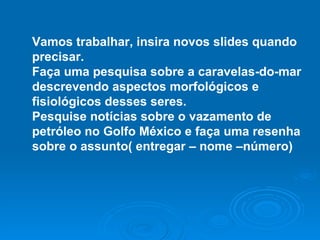 Vamos trabalhar, insira novos slides quando precisar. Faça uma pesquisa sobre a caravelas-do-mar descrevendo aspectos morfológicos e fisiológicos desses seres. Pesquise notícias sobre o vazamento de  petróleo no Golfo México e faça uma resenha sobre o assunto( entregar – nome –número) 