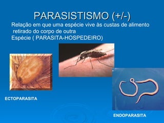 PARASISTISMO (+/-) Relação em que uma espécie vive às custas de alimento retirado do corpo de outra Espécie ( PARASITA-HOSPEDEIRO)   ECTOPARASITA ENDOPARASITA 