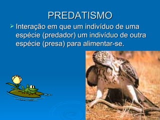 PREDATISMO Interação em que um indivíduo de uma espécie (predador) um indivíduo de outra espécie (presa) para alimentar-se. 