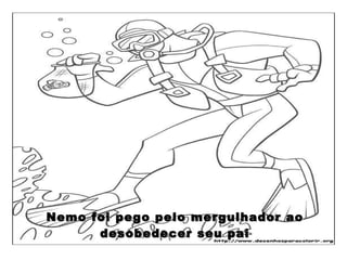 Nemo foi pego pelo mergulhador ao desobedecer seu pai 