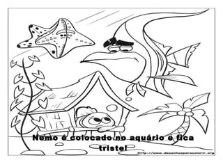 Nemo é colocado no aquário e fica triste! 