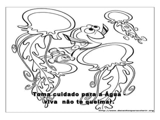 Toma cuidado para a Água - viva  não te queimar. 