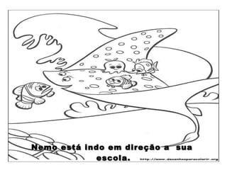 Nemo está indo em direção a  sua  escola. 