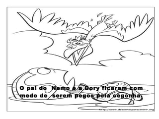 O pai do  Nemo e a Dory ficaram com medo de  serem pegos pela cegonha. 