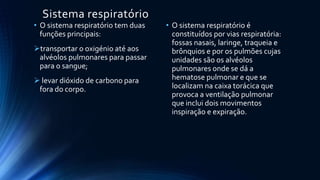 Sistema respiratório
• O sistema respiratório tem duas
funções principais:
transportar o oxigénio até aos
alvéolos pulmonares para passar
para o sangue;
 levar dióxido de carbono para
fora do corpo.
• O sistema respiratório é
constituídos por vias respiratória:
fossas nasais, laringe, traqueia e
brônquios e por os pulmões cujas
unidades são os alvéolos
pulmonares onde se dá a
hematose pulmonar e que se
localizam na caixa torácica que
provoca a ventilação pulmonar
que inclui dois movimentos
inspiração e expiração.
 