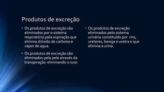 Produtos de excreção
• Os produtos de excreção são
eliminados por o sistema
respiratório pela expiração que
elimina dióxido de carbono e
vapor de agua.
• Os produtos de excreção são
eliminados pela pele através da
transpiração eliminando o suor.
• Os produtos de excreção
eliminados pelo sistema
urinário constituído por rins,
ureteres, bexiga e uretra e que
elimina a urina.
 