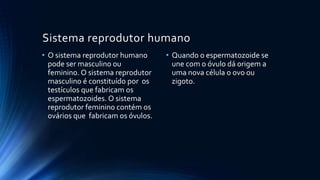 Sistema reprodutor humano
• O sistema reprodutor humano
pode ser masculino ou
feminino. O sistema reprodutor
masculino é constituído por os
testículos que fabricam os
espermatozoides. O sistema
reprodutor feminino contém os
ovários que fabricam os óvulos.
• Quando o espermatozoide se
une com o óvulo dá origem a
uma nova célula o ovo ou
zigoto.
 