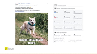 –
primeira etapa
ação intensiva
 