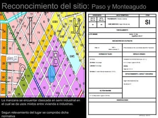 Reconocimiento del sitio: Paso y Monteagudo
La manzana se encuentar clasicada en semi industrial en
el cual se da usos mixtos entre vivienda e industrias.
Segun relevamiento del lugar se comprobo dicha
normativa
 