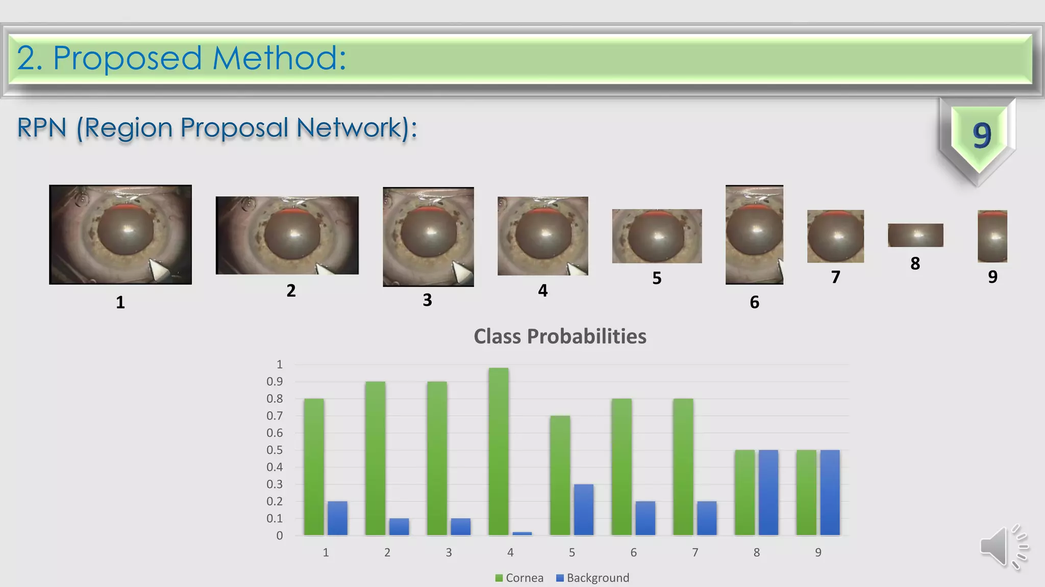 2. Proposed Method:
RPN (Region Proposal Network):
0
0.1
0.2
0.3
0.4
0.5
0.6
0.7
0.8
0.9
1
1 2 3 4 5 6 7 8 9
Class Probabilities
Cornea Background
1
2 3 4
75
6
8
9
 