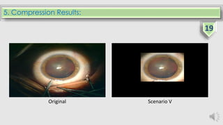 5. Compression Results:
Original Scenario V