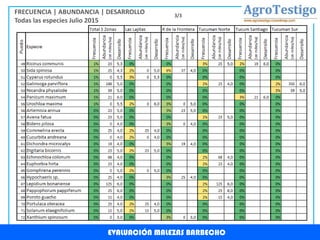 EVALUACIÓN MALEZAS BARBECHO
FRECUENCIA | ABUNDANCIA | DESARROLLO
Todas las especies Julio 2015
3/3
 