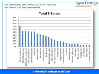 EVALUACIÓN MALEZAS BARBECHO
GRAFICOS DE FRECUENCIA MALEZAS TOP 25 | Julio 2015
(por frecuencia de lotes con presencia)
 