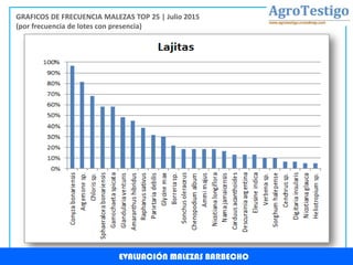 EVALUACIÓN MALEZAS BARBECHO
GRAFICOS DE FRECUENCIA MALEZAS TOP 25 | Julio 2015
(por frecuencia de lotes con presencia)
 
