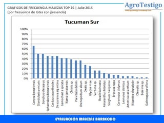 EVALUACIÓN MALEZAS BARBECHO
GRAFICOS DE FRECUENCIA MALEZAS TOP 25 | Julio 2015
(por frecuencia de lotes con presencia)
 