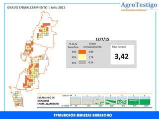EVALUACIÓN MALEZAS BARBECHO
GRADO ENMALEZAMIENTO | Julio 2015
34%
33%
33%
3,89
2,78
0,24
% de la
Superficie
Grado
enmalezamiento Total General
3,42
12/7/15
 
