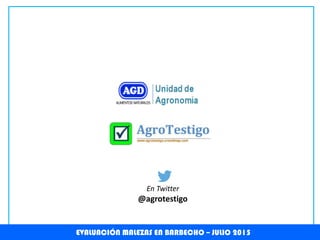EVALUACIÓN MALEZAS EN BARBECHO – JULIO 2015
En Twitter
@agrotestigo
 