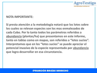 EVALUACIÓN MALEZAS BARBECHO
NOTA IMPORTANTE:
Si presta atención a la metodología notará que los lotes sobre
los cuales se relevan especies son los mas enmalezados de
cada Cubo. Por lo tanto todos los parámetros referidos a
abundancia (plantas/ha) que presentamos en este informe,
tanto en tablas como en mapas, son referidos a “lotes sucios”.
Interpretamos que en los “lotes sucios” se puede apreciar el
potencial invasivo de la especie representado por abundancia
que logra desarrollar en esa circunstancia.
 