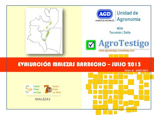 NOA
Tucumán | Salta
EVALUACIÓN MALEZAS BARBECHO – JULIO 2015
Datos al: 10/07/2015
MALEZAS
Factor
Clave
en Soja
Factor
Clav...