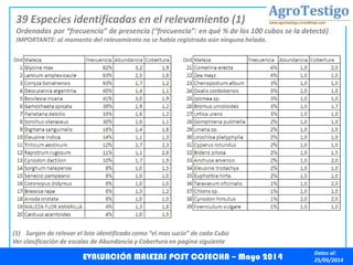 Datos al:
25/05/2014
39 Especies identificadas en el relevamiento (1)
Ordenadas por “frecuencia” de presencia (“frecuencia”: en qué % de los 100 cubos se la detectó)
IMPORTANTE: al momento del relevamiento no se había registrado aún ninguna helada.
EVALUACIÓN MALEZAS POST COSECHA – Mayo 2014
(1) Surgen de relevar el lote identificado como “el mas sucio” de cada Cubo
Ver clasificación de escalas de Abundancia y Cobertura en pagina siguiente
 
