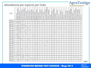 Datos al:
25/05/2014
Abundancia por especie por Cubo
EVALUACIÓN MALEZAS POST COSECHA – Mayo 2014
sigue
 