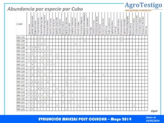 Datos al:
25/05/2014
Abundancia por especie por Cubo
EVALUACIÓN MALEZAS POST COSECHA – Mayo 2014
sigue
 