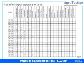 Datos al:
25/05/2014
Abundancia por especie por Cubo
EVALUACIÓN MALEZAS POST COSECHA – Mayo 2014
sigue
 