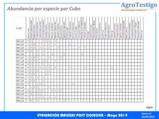 Datos al:
25/05/2014
Abundancia por especie por Cubo
EVALUACIÓN MALEZAS POST COSECHA – Mayo 2014
sigue
 