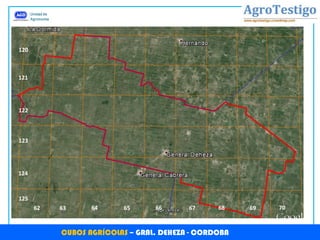 125
124
123
122
121
120
62 63 64 65 66 67 68 69 70
CUBOS AGRÍCOLAS – GRAL. DEHEZA - CORDOBA
 