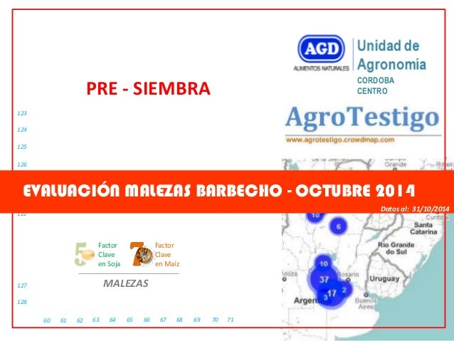 61 
62 
63 
64 
65 
66 
67 
68 
69 
70 
71 
60 
128 
127 
126 
125 
124 
123 
122 
EVALUACIÓN MALEZAS BARBECHO - OCTUBRE 2...