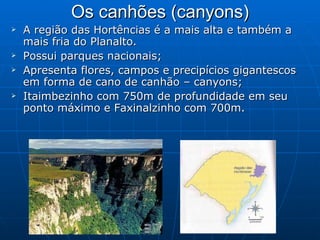 Os canhões (canyons) A região das Hortências é a mais alta e também a mais fria do Planalto. Possui parques nacionais; Apresenta flores, campos e precipícios gigantescos em forma de cano de canhão – canyons; Itaimbezinho com 750m de profundidade em seu ponto máximo e Faxinalzinho com 700m. 