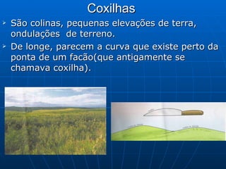 Coxilhas  São colinas, pequenas elevações de terra, ondulações  de terreno.  De longe, parecem a curva que existe perto da ponta de um facão(que antigamente se chamava coxilha). 
