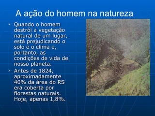 Quando o homem destrói a vegetação natural de um lugar, está prejudicando o solo e o clima e, portanto, as condições de vida de nosso planeta. Antes de 1824, aproximadamente 40% da área do RS era coberta por florestas naturais. Hoje, apenas 1,8%. A ação do homem na natureza 