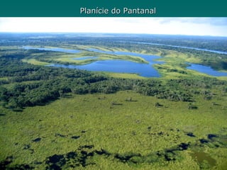 Planície do Pantanal
 