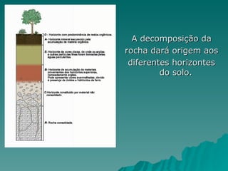 A decomposição da
rocha dará origem aos
 diferentes horizontes
         do solo.
 