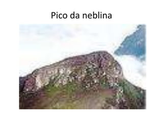 Pico da neblina
 