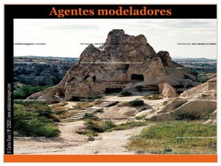 Agentes modeladores
 