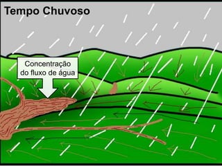 Concentração
do fluxo de água
Tempo Chuvoso
 