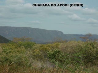 CHAPADA DIAMANTINA
CHAPADA DOS GUIMARÃES (MT)CHAPADA DO ARARIPE (CE)CHAPADA DO APODI (CE/RN)
 