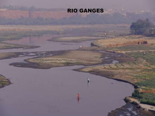 PLANÍCIE HÚNGARAPLANÍCIE SIBERIANA OU RUSSAPLANÍCIE CENTRAL (EUA)
PLANÍCIE AMAZÔNICA
PANTANAL MATOGROSSENSEPLANÍCIE DO CONGORIO TIGRESRIO GANGES
 