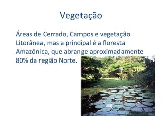 Vegetação Áreas de Cerrado, Campos e vegetação Litorânea, mas a principal é a floresta Amazônica, que abrange aproximadamente 80% da região Norte. 