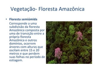Vegetação- Floresta Amazônica Floresta semiúmida   Corresponde a uma subdivisão da floresta Amazônica composta por uma de transição entre a própria floresta Amazônica e outros domínios, ocorrem árvores com alturas que oscilam entre 15 e 20 metros e que perdem suas folhas no período de estiagem. 