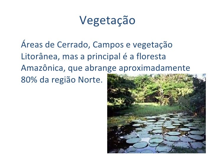Qual é A Vegetação Predominante Na Região Norte