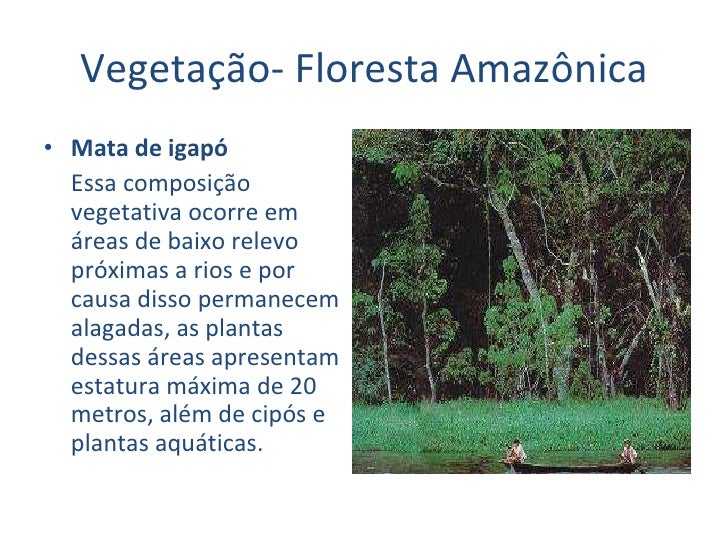 Qual é A Vegetação Predominante Na Região Norte
