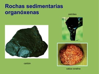 Rochas sedimentarias
organóxenas
carbón
petróleo
caliza coralina
 