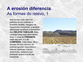 A erosión diferencia.
As formas do relevo, 1
Nas zonas onde alternan
estratos duros (calizas) e
brandos (arxilas, margas) de
disposición horizontal, a erosión
diferencial contribúe á formación
dun RELEVO TABULAR. Este
caracterízase pola alternancia
entre o nivel de PÁRAMOS,
máis elevado, e o de
CAMPIÑAS, máis baixo. Se a
erosión foi moi intensa, os
pramos quedan reducidos a
relevos residuais (cerros
testemuña, outeiros) que
destacan sobre o nivel das
campiñas
 