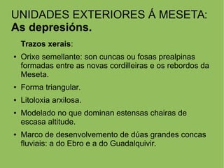 UNIDADES EXTERIORES Á MESETA:
As depresións.
Trazos xerais:
● Orixe semellante: son cuncas ou fosas prealpinas
formadas entre as novas cordilleiras e os rebordos da
Meseta.
● Forma triangular.
● Litoloxia arxilosa.
● Modelado no que dominan estensas chairas de
escasa altitude.
● Marco de desenvolvemento de dúas grandes concas
fluviais: a do Ebro e a do Guadalquivir.
 